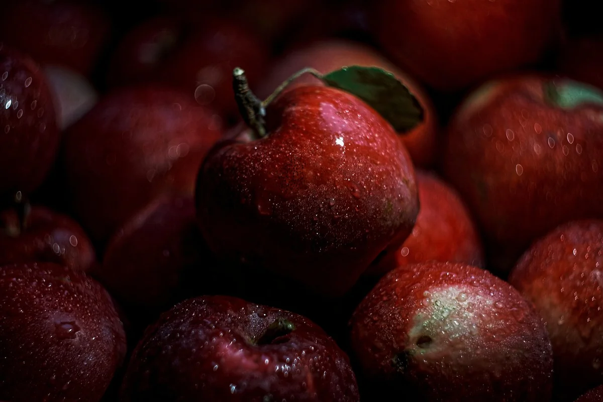 Gérer les fruits rouges sans détremper la base