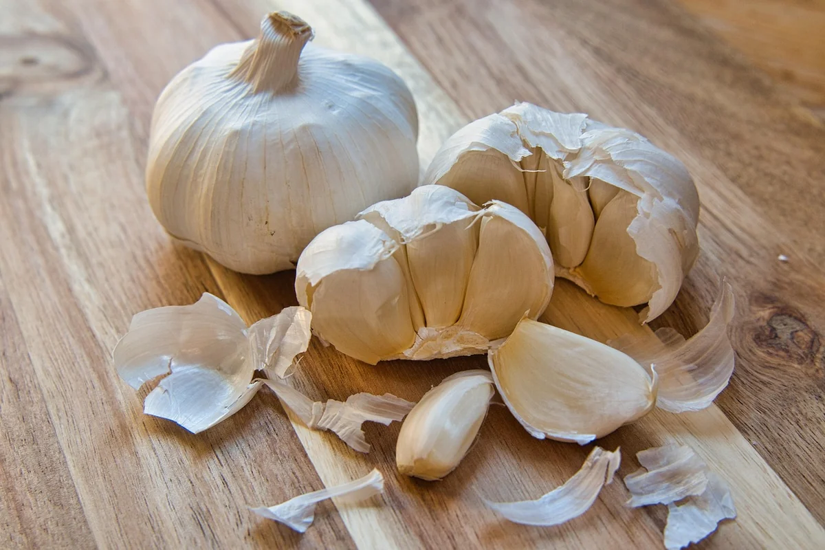 Palier 1 : les plats simples à maîtriser en première semaine