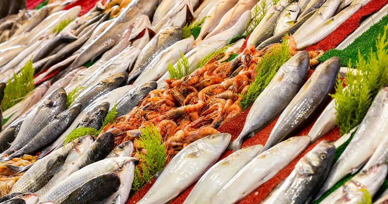 Quels poissons choisir (et comment les préparer)